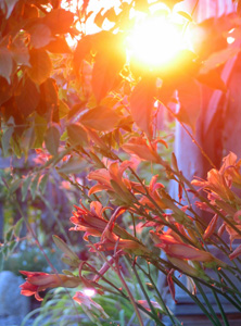 Beim Träumen fliessen die Gedanken...